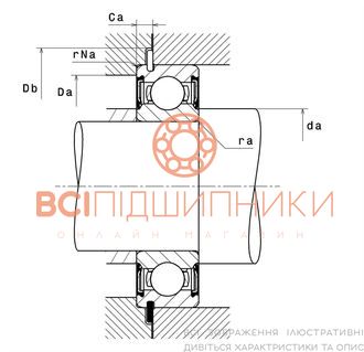 Підшипник 6006DDUNR NSK (30х55х13 мм.) 4 of 4