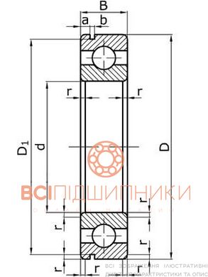 Підшипник 50204 (6204 N) GPZ-7 (20х47х14 мм.) 3 of 4